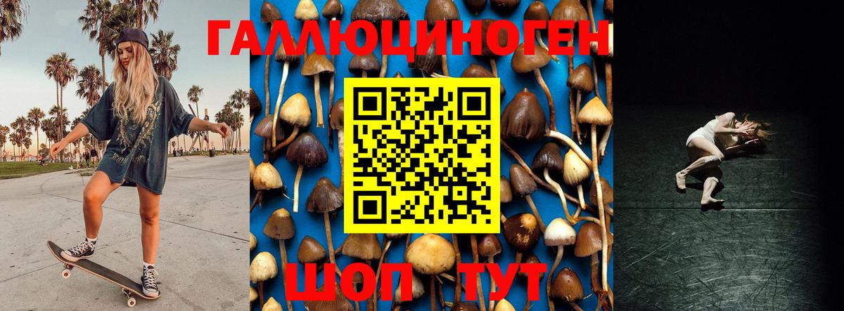 Псилоцибиновые грибы Cubensis Минеральные Воды